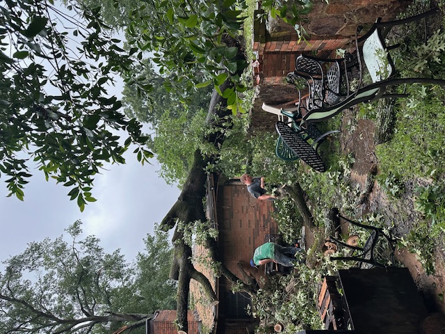 Storm Damage / Trees on Roof / Insurance Claim