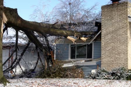 Storm Damage